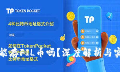 TP钱包能存FIL币吗？深度解析与实用指南