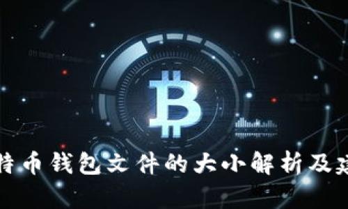 比特币钱包文件的大小解析及建议