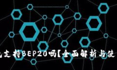 TP钱包支持BEP20吗？全面解