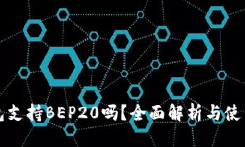 TP钱包支持BEP20吗？全面解析与使用指南