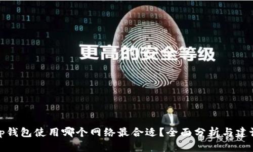 tp钱包使用哪个网络最合适？全面分析与建议