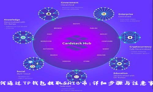 如何通过TP钱包提取SHIB币：详细步骤与注意事项