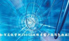 如何高效管理200GB比特币客