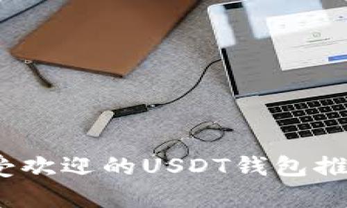 全面解析：最受欢迎的USDT钱包推荐及选择指南