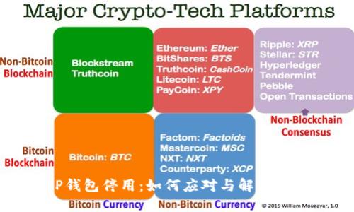 TP钱包停用：如何应对与解决方案