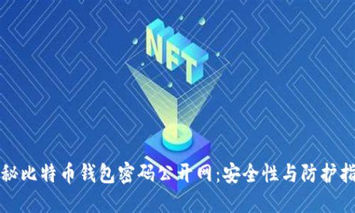 揭秘比特币钱包密码公开网：安全性与防护指南