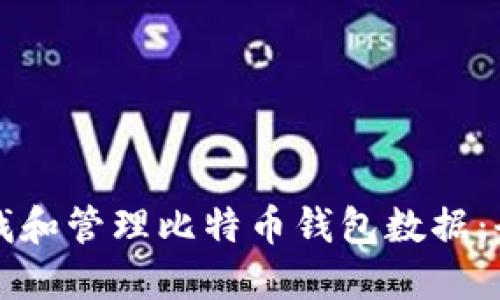 如何查找和管理比特币钱包数据：全面指南