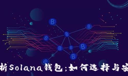   
全面解析Solana钱包：如何选择与安全指南