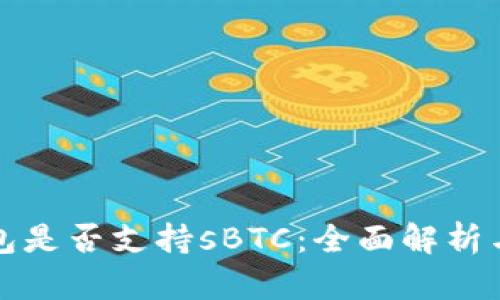 比特币钱包是否支持sBTC：全面解析与投资建议