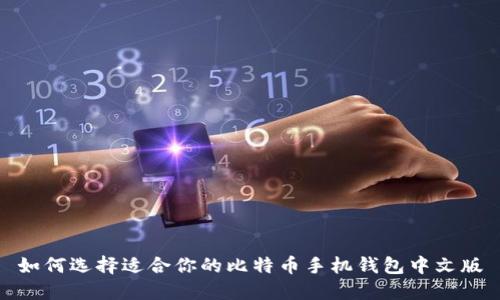 如何选择适合你的比特币手机钱包中文版