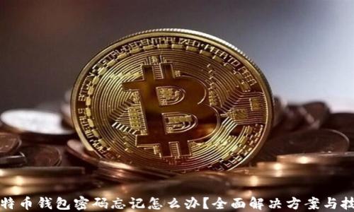 
比特币钱包密码忘记怎么办？全面解决方案与技巧