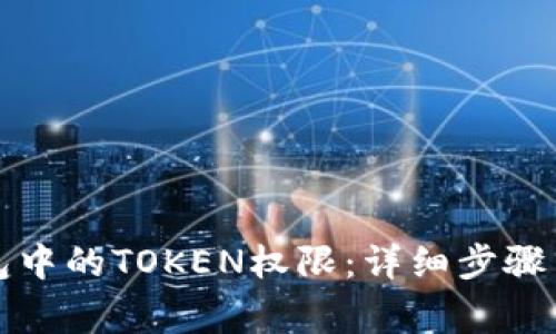 如何找回TP钱包中的TOKEN权限：详细步骤与常见问题解答