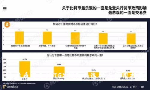 比特币黄金（BTG）钱包的选择与使用指南