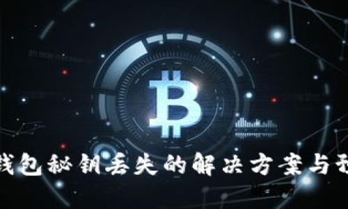 比特币钱包秘钥丢失的解决方案与预防措施