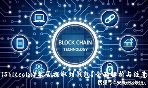 屎币（Shitcoin）能否提取到钱包？全面解析与注意事项