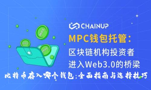 比特币存入哪个钱包：全面指南与选择技巧