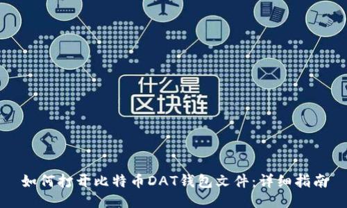 如何打开比特币DAT钱包文件：详细指南