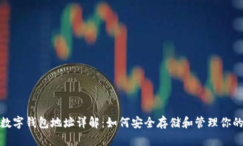 USDT数字钱包地址详解：如何安全存储和管理你的USDT