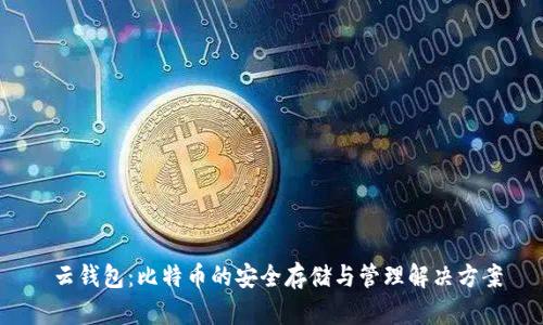  云钱包：比特币的安全存储与管理解决方案