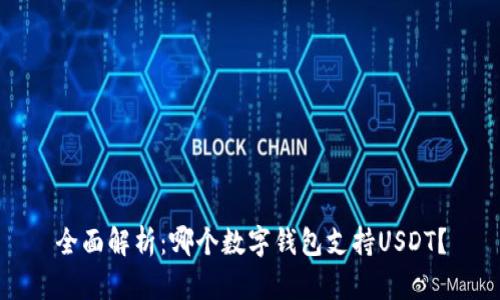 全面解析：哪个数字钱包支持USDT？