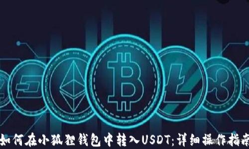 
如何在小狐狸钱包中转入USDT：详细操作指南