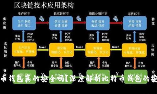 比特币钱包真的安全吗？深度解析比特币钱包的安全性