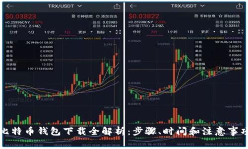 比特币钱包下载全解析：步骤、时间和注意事项