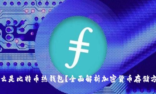 什么是比特币热钱包？全面解析加密货币存储方式