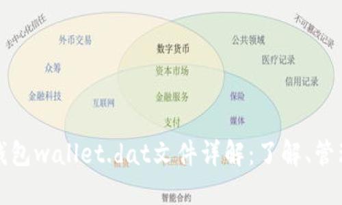 比特币钱包wallet.dat文件详解：了解、管理与安全