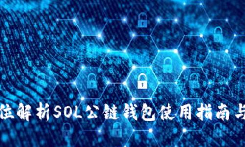 全方位解析SOL公链钱包使用指南与技巧