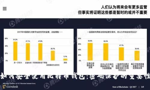 如何安全使用比特币钱包：密码保护的重要性