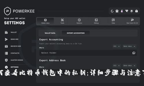 如何查看比特币钱包中的私钥：详细步骤与注意事项