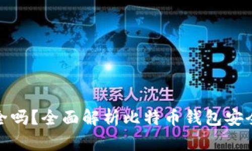 比特币钱包安全吗？全面解析比特币钱包安全性及保护措施