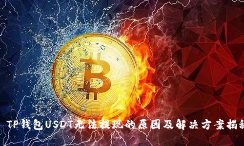 : TP钱包USDT无法提现的原因及解决方案揭秘