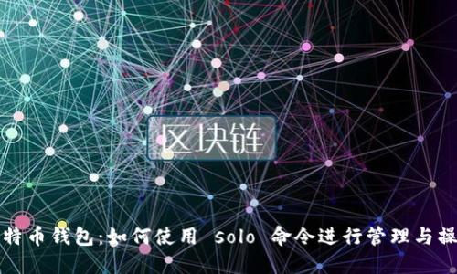 比特币钱包：如何使用 solo 命令进行管理与操作