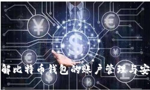 全面了解比特币钱包的账户管理与安全策略