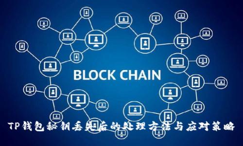 TP钱包秘钥丢失后的处理方法与应对策略