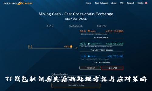 TP钱包秘钥丢失后的处理方法与应对策略