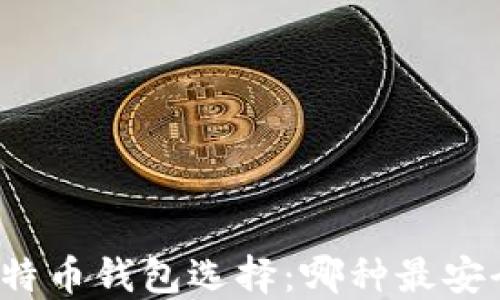 
比特币钱包选择：哪种最安全？