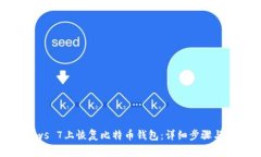 如何在Windows 7上恢复比特