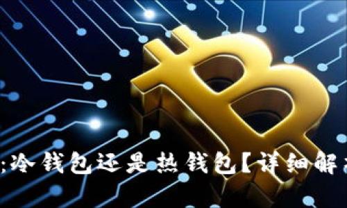  TP钱包：冷钱包还是热钱包？详细解析与指南