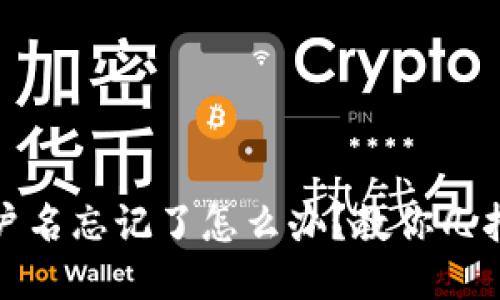 TP钱包账户名忘记了怎么办？教你几招轻松找回