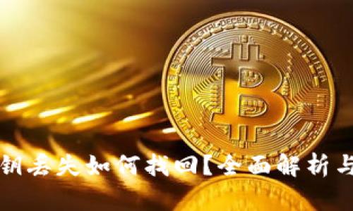 TP钱包私钥丢失如何找回？全面解析与解决方案