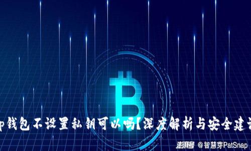 tp钱包不设置私钥可以吗？深度解析与安全建议