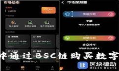 如何在TP钱包中通过BSC链购