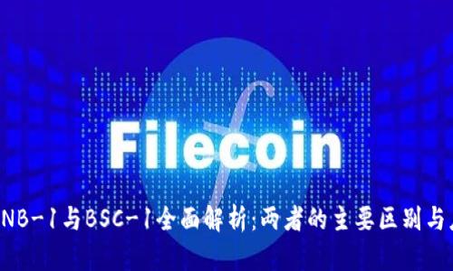 TP钱包BNB-1与BSC-1全面解析：两者的主要区别与应用场景