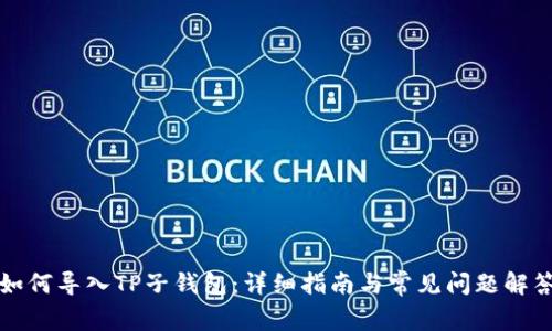 如何导入TP子钱包：详细指南与常见问题解答