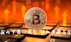 如何在国内下载TP钱包：详