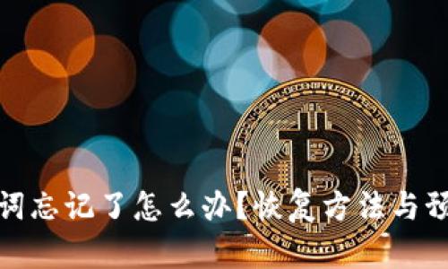 tp钱包助力词忘记了怎么办？恢复方法与预防技巧详解