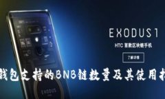 TP钱包支持的BNB链数量及其